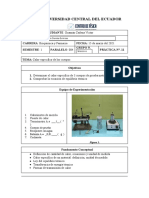 Informe-Guamán V.Prac.11