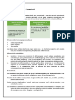 Crecimiento y Desarrollo Craneofacial