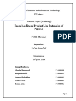 Brand Audit and Product Line Extension of Pepsico: Institute of Business and Information Technology Pu, Lahore