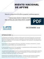 Relevamiento Apyme Diciembre 2021