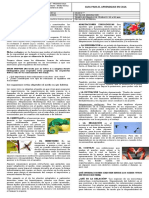 Adaptacion de Los Seres Vivos PDF