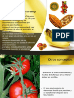 Teoria Fruto