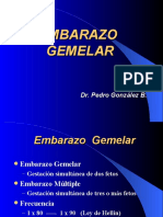 Embarazo Gemelar