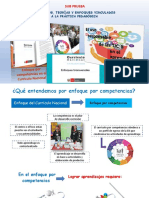 Enfoque Por Ccompetencias-Enfoques Transversales-Tic Aprendizajes