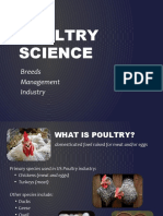 Poultry Science: Breeds Management Industry