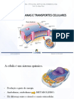 Aula 2 Biomembranas e Transportes