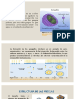 Micelas: Fig.1.Estructura de La Micela Imagen Tomada de