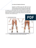 Lower Body Exercises For Muscular Strength and Endurance