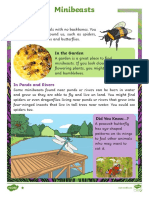 Minibeasts Differentiated Reading Comprehension Activity