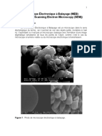 Microscope Électronique À Balayage (MEB) (En Anglais Scanning Electron Microscopy (SEM) )