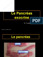 11 Cours Pancreas