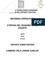 Reporte Sobre Drivers