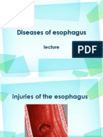 Esophagus