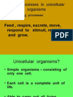 Living Processes in Unicellular Organisms