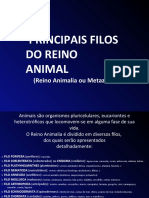 Reino Animal - Poríferos e Cnidários