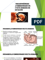 Obstetricia Fisiologica 6 - 8 Semanas