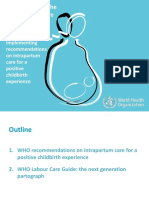 WHO Labor Care Guide Slides LCG