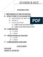 Les Acides Nucléiques