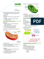 Bioenergetica Metabolismo Celular