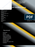 Analyse Morphologique