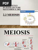 Cytogenetics 3 Week Lecture SEPTEMBER 11, 2021: 2.3 Meiosis