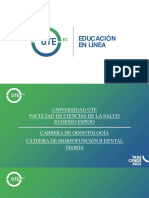 Diapositivas - Clasificación de Weine y Vertucci y Morfología Interna de Los Caninos Superiores e Inferiores