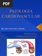 Patologia Cardiovascular