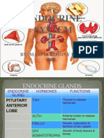 Endocrine System