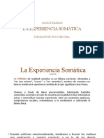 La Experiencia Somática