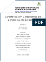 Ejemplo Caracterizacion Diagnostico