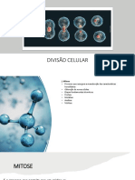 6677 - Renovação Celular - 3 - MITOSE