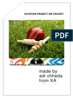 PDF Physical Education Project On Cricket DL