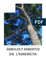 ÁRBOLES Y ARBUSTOS de L Eixereta