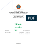 Informe Hidrotratamiento