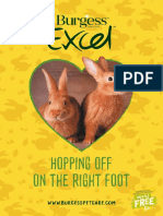 Hopping Off On The Right Foot Guide LOW RES