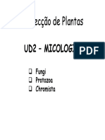 PP UD2 Micologia