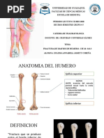 PDF Documento