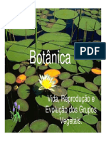 Botanica Evolucao Das Plantas