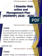 3 NDRRMP 2020-2030