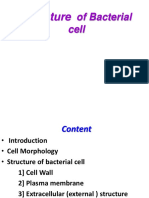 Structure: of Bacterial Cell