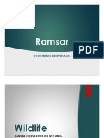 Ramsar Convention On Wetlands