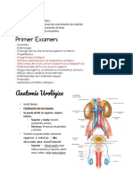 Urologia (GFS)