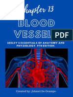 Anatomy & Physiology (Chapter 13 - Blood Vessels)