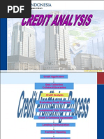 Credit Analysis