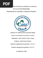 Informe 1 Curados SALADO - Sánchez, Arline - Compressed