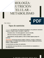 Biología - Nutrición y Metabolismo