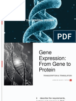 Gene Expression - From Gene To Protein Online