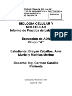 Informe Extraccion de ADN