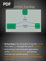 Microbial Leaching 1