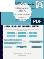 GLOMERULOPATÍAS Subgrupo 3